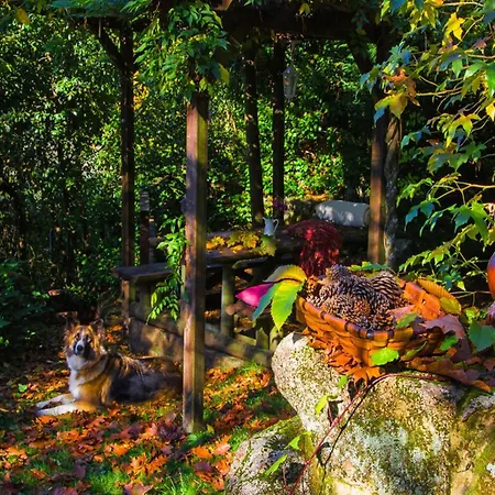 Dom wakacyjny In A Near Rias Baixas Beaches San Salvador