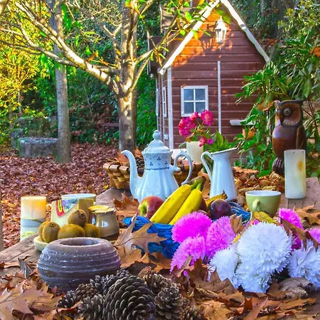 In A Near Rias Baixas Beaches Dom wakacyjny *